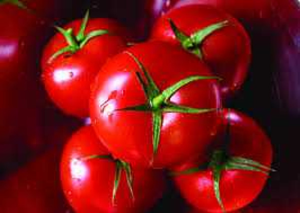 Tomates Rellenos con Soya